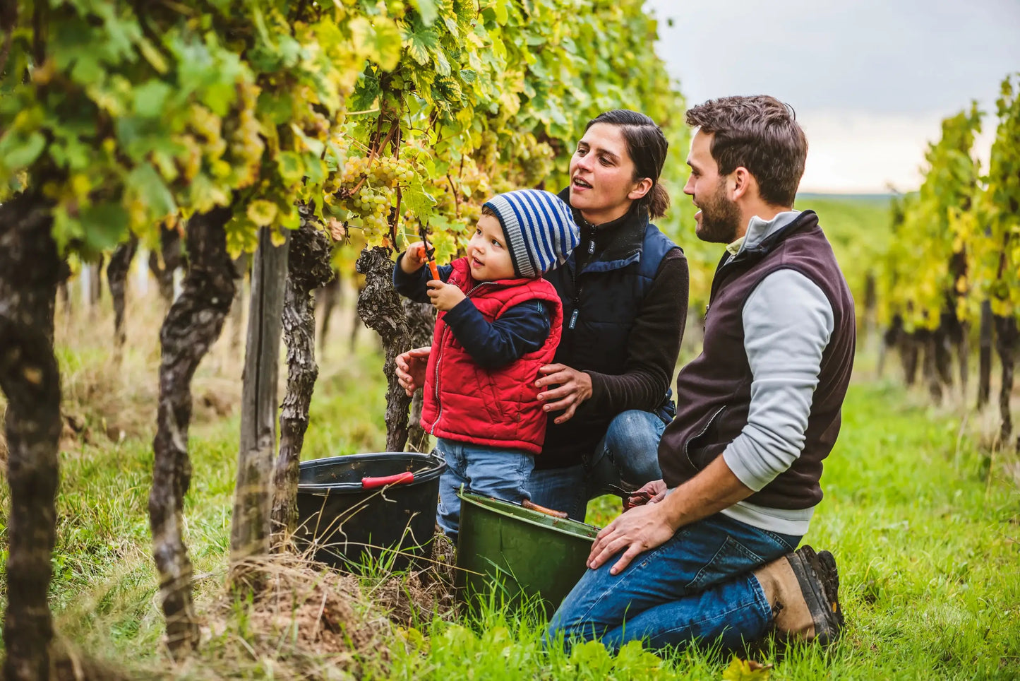 Familie Kampf im Weingut