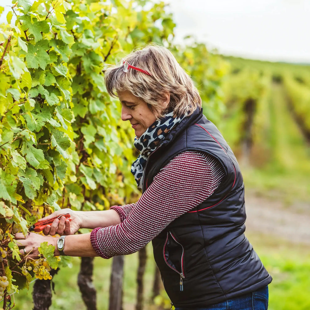 Weingut Kampf