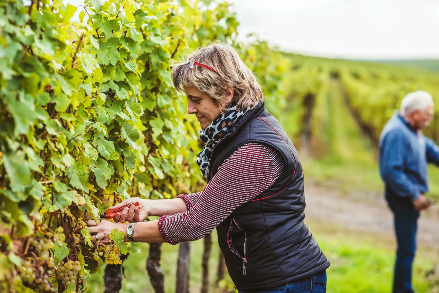 Weingut Kampf